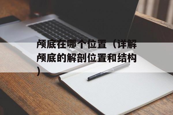 颅底在哪个位置（详解颅底的解剖位置和结构）-第1张图片-