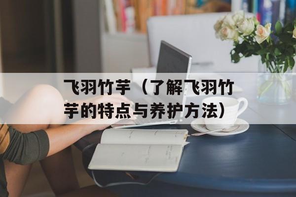 飞羽竹芋（了解飞羽竹芋的特点与养护方法）-第1张图片-