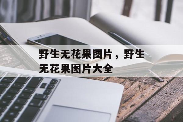 野生无花果图片，野生无花果图片大全-第1张图片-