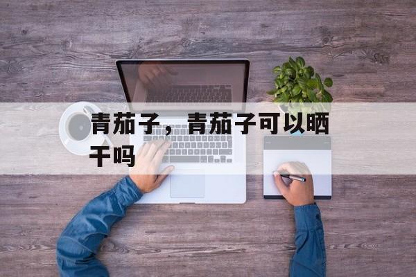 青茄子，青茄子可以晒干吗-第1张图片-
