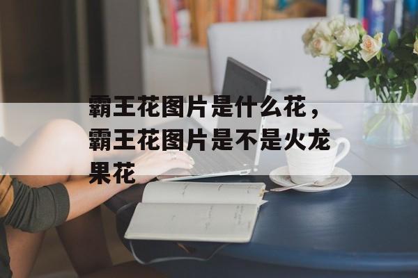 霸王花图片是什么花，霸王花图片是不是火龙果花-第1张图片-