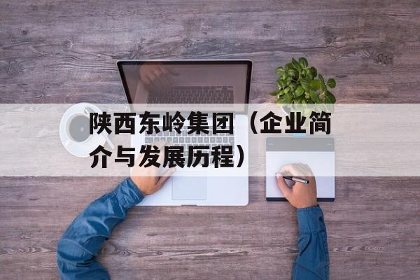 陕西东岭集团（企业简介与发展历程）-第1张图片-