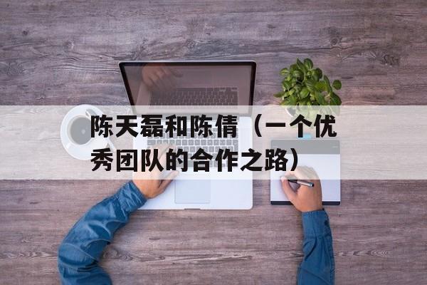 陈天磊和陈倩（一个优秀团队的合作之路）-第1张图片-
