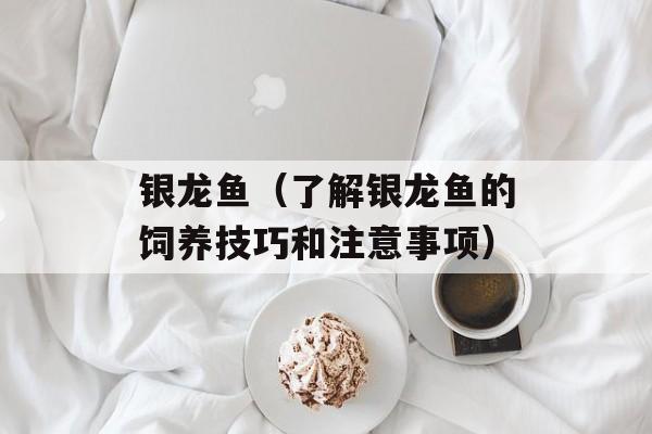 银龙鱼（了解银龙鱼的饲养技巧和注意事项）-第1张图片-