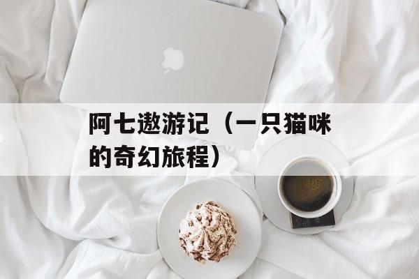 阿七遨游记（一只猫咪的奇幻旅程）-第1张图片-