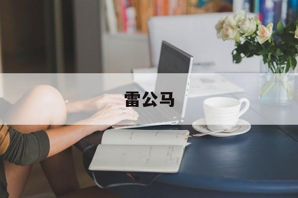 雷公马-第1张图片-