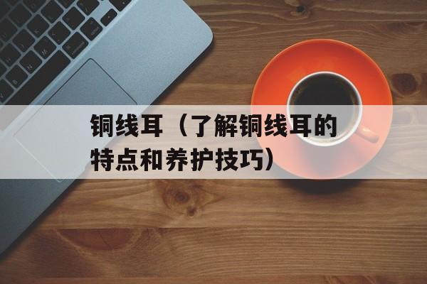 铜线耳（了解铜线耳的特点和养护技巧）-第1张图片-