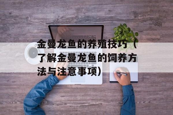 金曼龙鱼的养殖技巧（了解金曼龙鱼的饲养方法与注意事项）-第1张图片-
