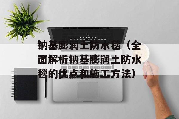 钠基膨润土防水毯（全面解析钠基膨润土防水毯的优点和施工方法）-第1张图片-
