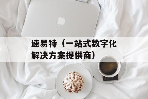 速易特（一站式数字化解决方案提供商）-第1张图片-