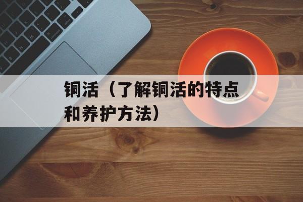 铜活（了解铜活的特点和养护方法）-第1张图片-