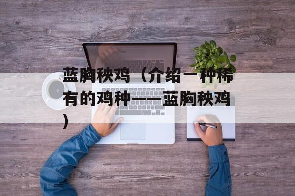 蓝胸秧鸡（介绍一种稀有的鸡种——蓝胸秧鸡）-第1张图片-
