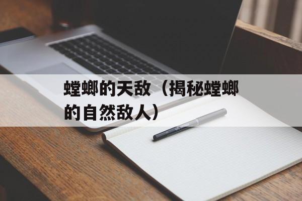 螳螂的天敌（揭秘螳螂的自然敌人）-第1张图片-