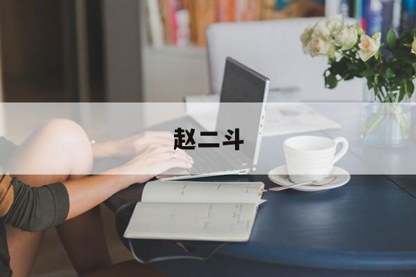 赵二斗-第1张图片-