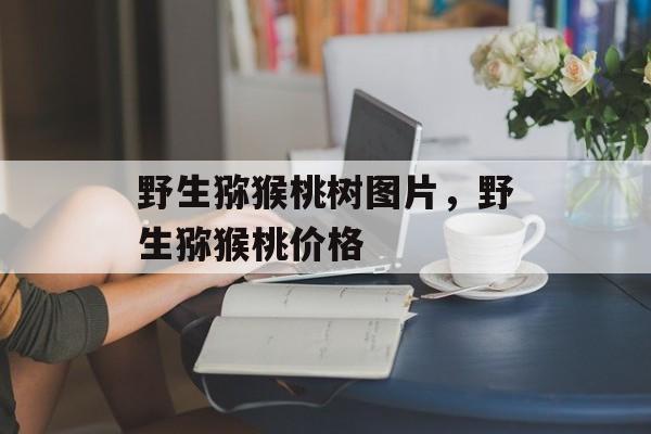野生猕猴桃树图片，野生猕猴桃价格-第1张图片-