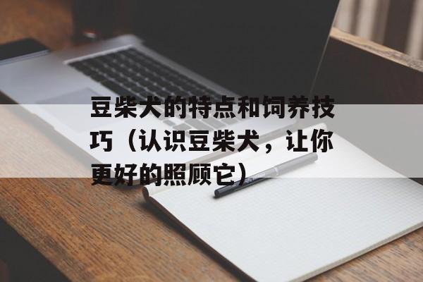 豆柴犬的特点和饲养技巧（认识豆柴犬，让你更好的照顾它）-第1张图片-