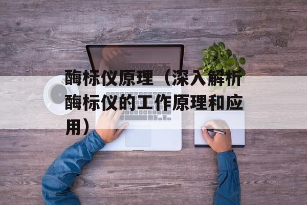 酶标仪原理（深入解析酶标仪的工作原理和应用）-第1张图片-