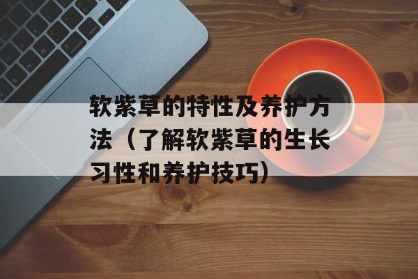 软紫草的特性及养护方法（了解软紫草的生长习性和养护技巧）-第1张图片-