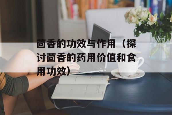 茴香的功效与作用（探讨茴香的药用价值和食用功效）-第1张图片-