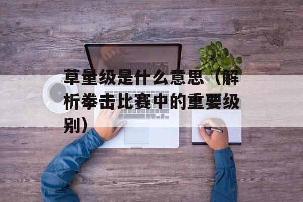 草量级是什么意思（解析拳击比赛中的重要级别）-第1张图片-