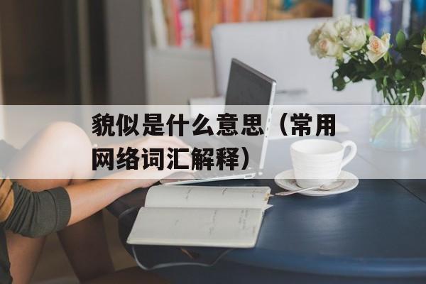 貌似是什么意思（常用网络词汇解释）-第1张图片-