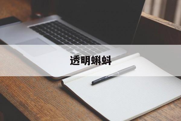 透明蝌蚪-第1张图片-