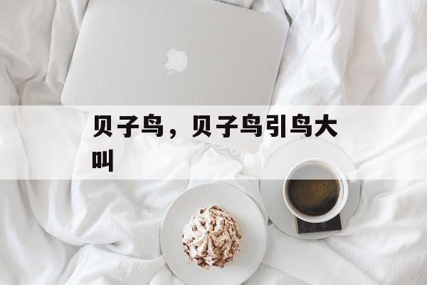 贝子鸟，贝子鸟引鸟大叫-第1张图片-