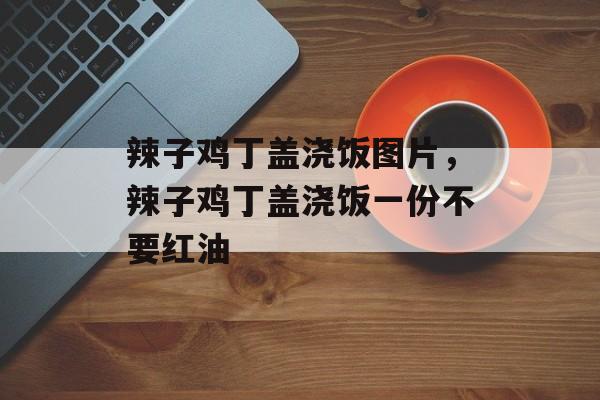 辣子鸡丁盖浇饭图片，辣子鸡丁盖浇饭一份不要红油-第1张图片-