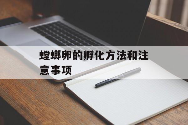螳螂卵的孵化方法和注意事项-第1张图片-