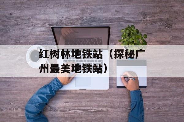 红树林地铁站（探秘广州最美地铁站）-第1张图片-