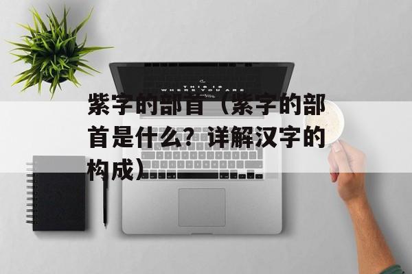 紫字的部首（紫字的部首是什么？详解汉字的构成）-第1张图片-