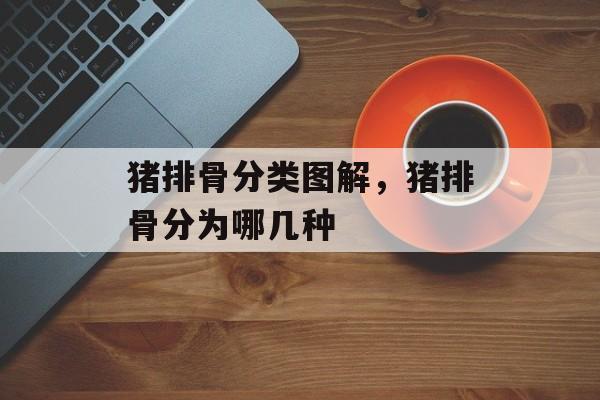 猪排骨分类图解，猪排骨分为哪几种-第1张图片-