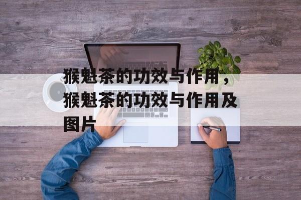 猴魁茶的功效与作用，猴魁茶的功效与作用及图片-第1张图片-