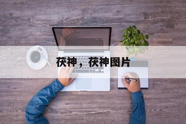 茯神，茯神图片-第1张图片-