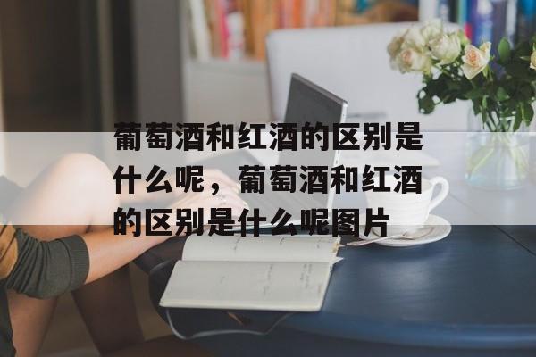 葡萄酒和红酒的区别是什么呢，葡萄酒和红酒的区别是什么呢图片-第1张图片-