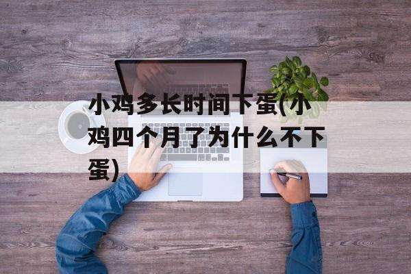 小鸡多长时间下蛋(小鸡四个月了为什么不下蛋)-第1张图片-