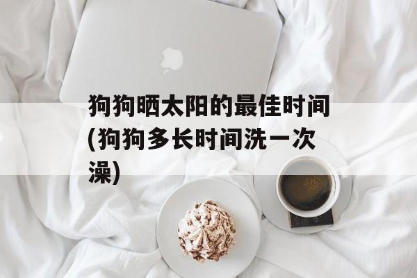 狗狗晒太阳的最佳时间(狗狗多长时间洗一次澡)-第1张图片-