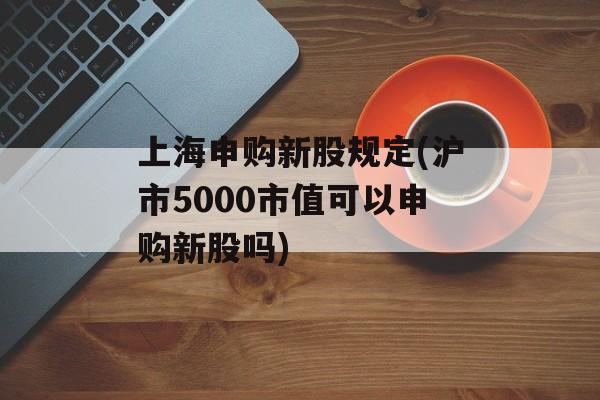 上海申购新股规定(沪市5000市值可以申购新股吗)-第1张图片-