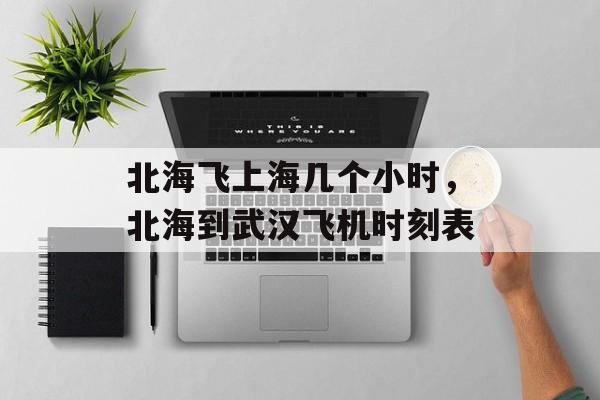 北海飞上海几个小时，北海到武汉飞机时刻表-第1张图片-