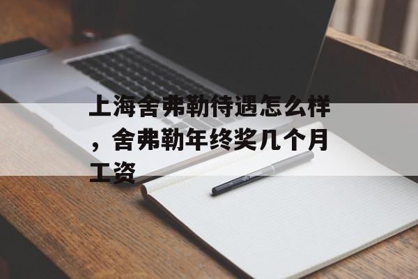 上海舍弗勒待遇怎么样，舍弗勒年终奖几个月工资-第1张图片-