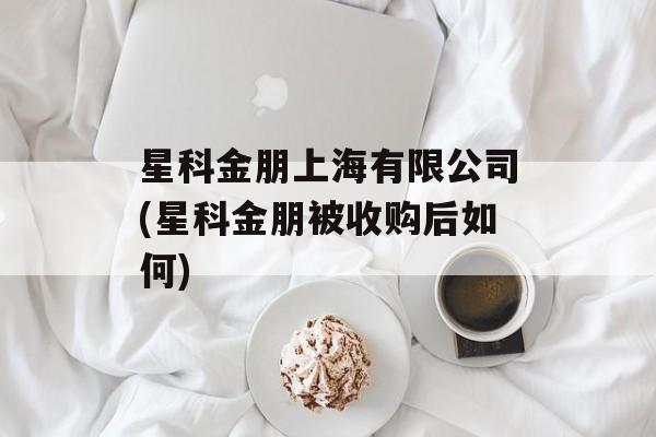 星科金朋上海有限公司(星科金朋被收购后如何)-第1张图片-