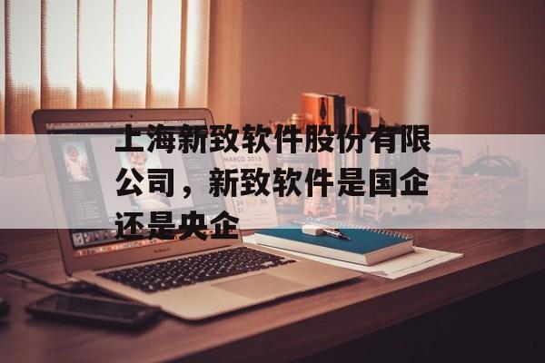上海新致软件股份有限公司，新致软件是国企还是央企-第1张图片-