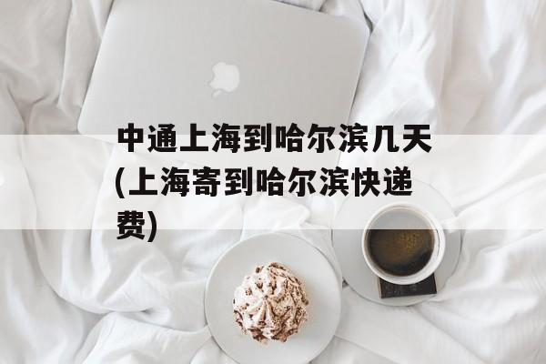 中通上海到哈尔滨几天(上海寄到哈尔滨快递费)-第1张图片-