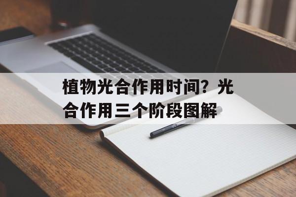 植物光合作用时间？光合作用三个阶段图解-第1张图片-