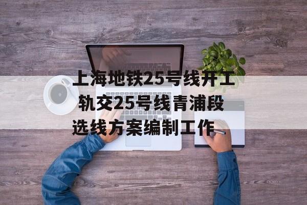 上海地铁25号线开工 轨交25号线青浦段选线方案编制工作-第1张图片-