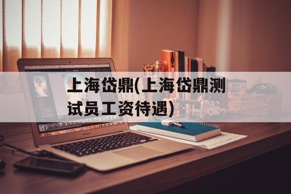 上海岱鼎(上海岱鼎测试员工资待遇)-第1张图片-