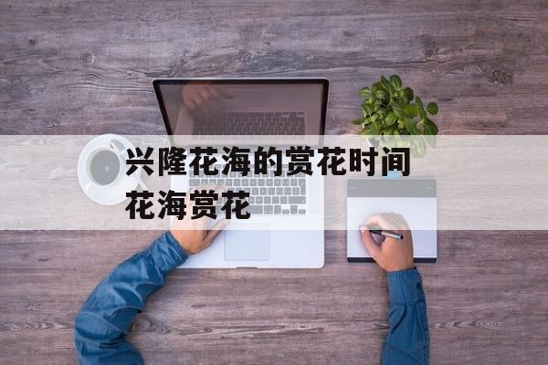 兴隆花海的赏花时间 花海赏花-第1张图片-