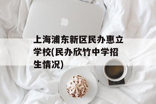 上海浦东新区民办惠立学校(民办欣竹中学招生情况)-第1张图片-