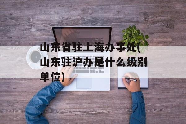 山东省驻上海办事处(山东驻沪办是什么级别单位)-第1张图片-