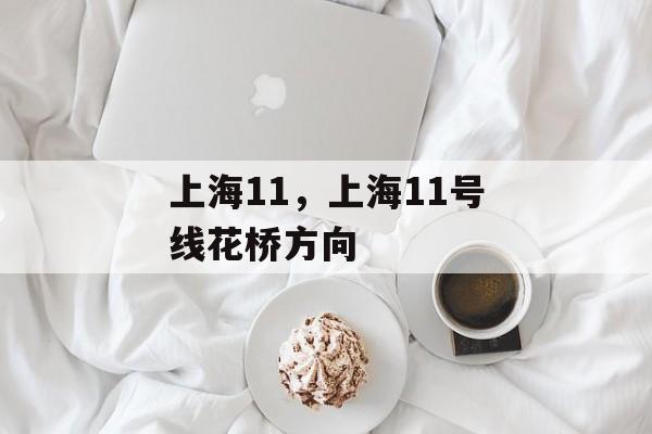 上海11，上海11号线花桥方向-第1张图片-